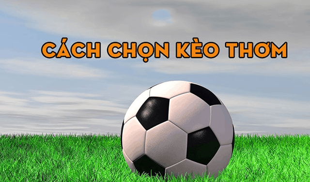 Hướng dẫn cách chọn kèo thơm trong cá cược bóng đá online với tân binh Huong dan cach chon keo thom trong ca cuoc bong da online voi tan binh